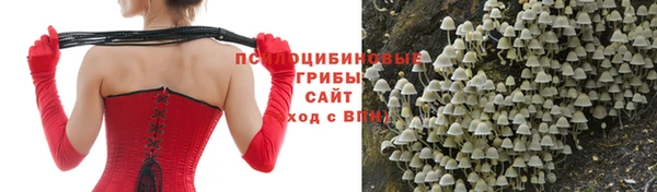 амфетамин Гусь-Хрустальный