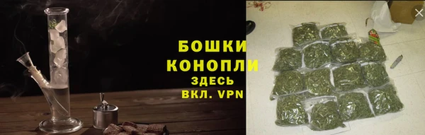 СК Гусев