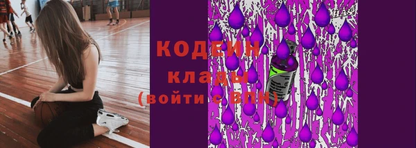 первитин Ельня