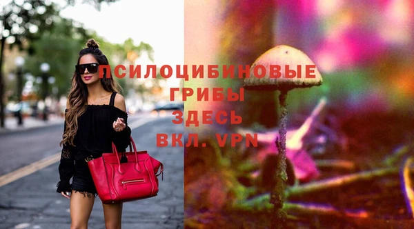 твердый Елабуга