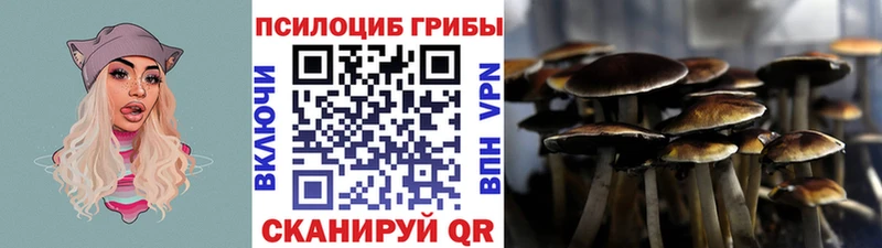 Псилоцибиновые грибы Psilocybine cubensis Лангепас