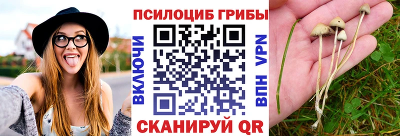 Галлюциногенные грибы Cubensis  Купить где  Лангепас 